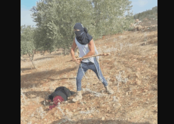 Un colon israélien inculpé de “terrorisme” pour avoir grièvement blessé une Palestinienne