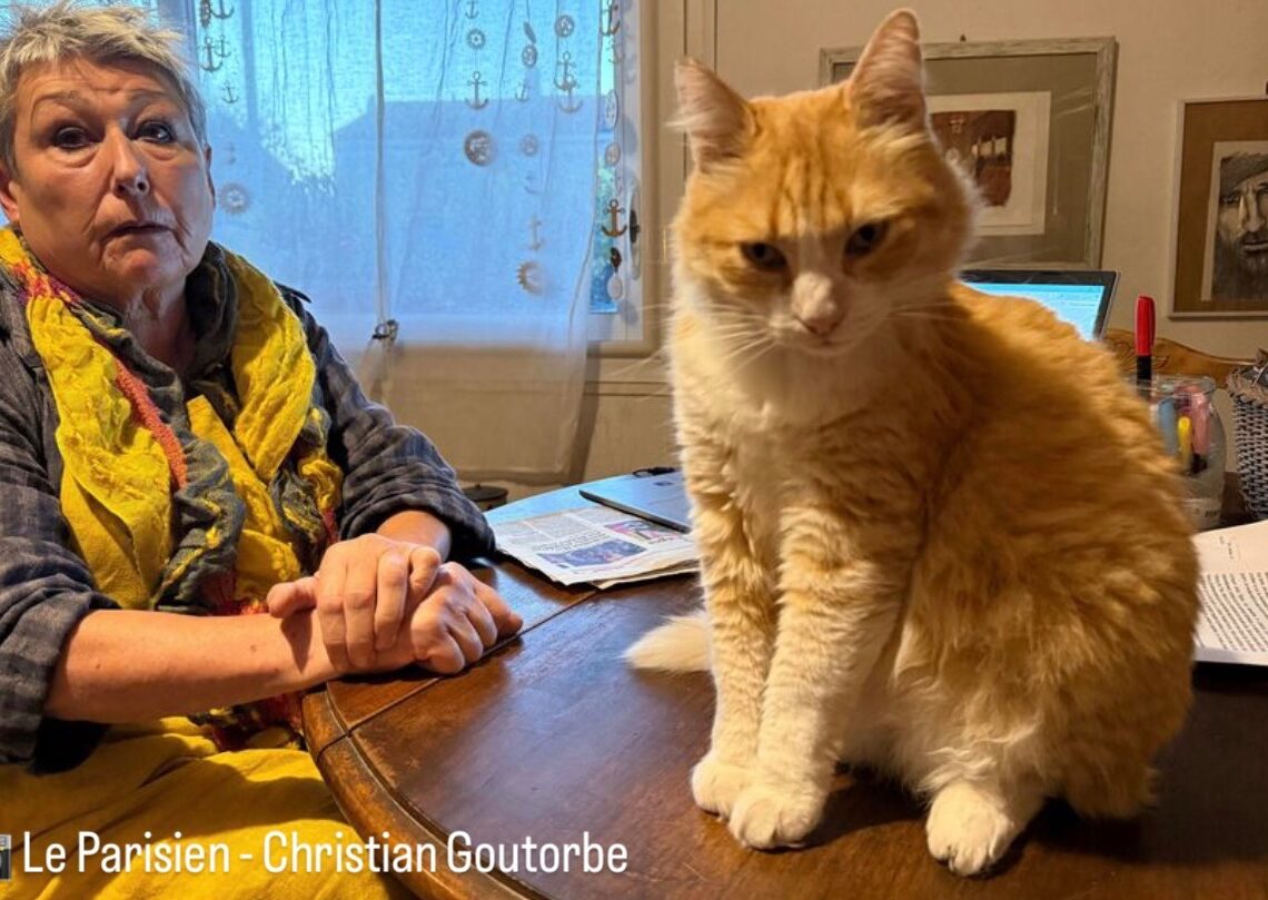 Ce n’est pas une blague: En France, une femme condamnée à 1250 euros d’amende parce que son chat se rendait chez le voisin