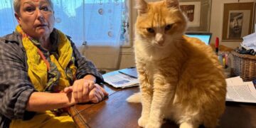 Ce n&rsquo;est pas une blague: En France, une femme condamnée à 1250 euros d&rsquo;amende parce que son chat se rendait chez le voisin