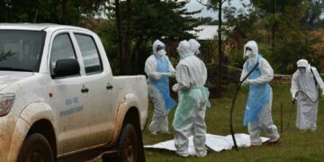 Taux de mortalité à 90%: L’Éthiopie confirme l’apparition d’une épidémie du virus de Marburg