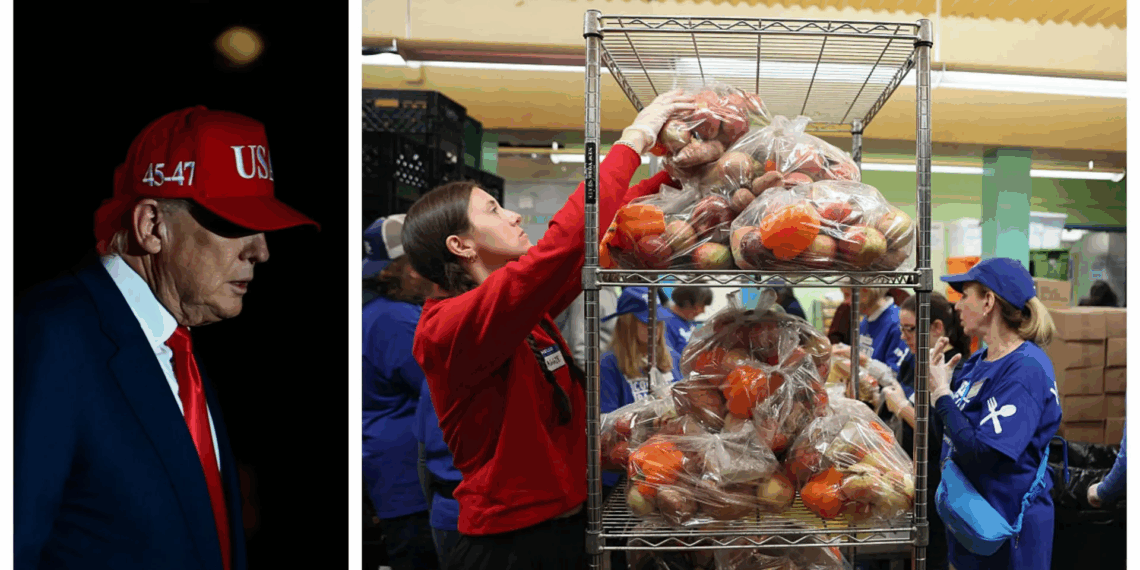 Etats-Unis : Shutdown, faim et santé…