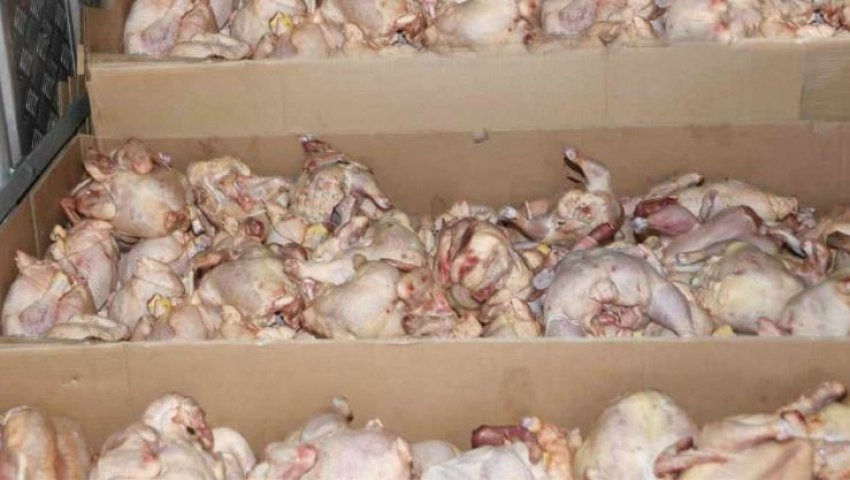 Saisie de 600 kg de viandes de volailles dans un abattoir anarchique à Manouba