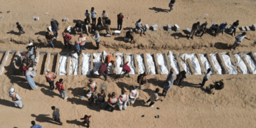 Depuis le Cessez-le-feu: Israël tue huit Palestiniens par jour à Gaza, selon une ONG