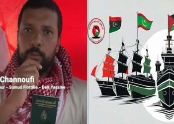 Encore plus de navires: Nabil Chennoufi annonce une Flottille Sumud 2