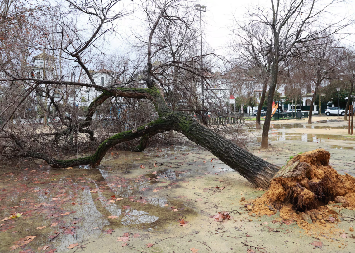 Après Léonardo, une nouvelle tempête menace la péninsule ibérique