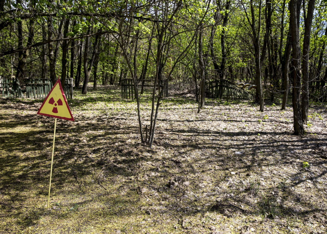 La Russie évacue 198 employés de la centrale iranienne de Bouchehr touchée par une frappe