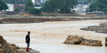Près de 900 serpents venimeux s’échappent d’un élevage en Chine après des inondations meurtrières