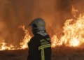Incendies et politique