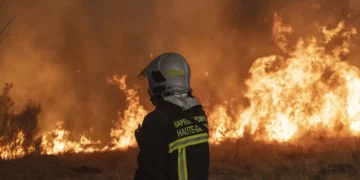 Incendies et politique