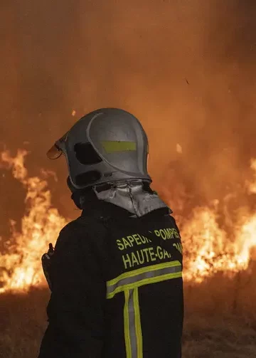 Incendies et politique