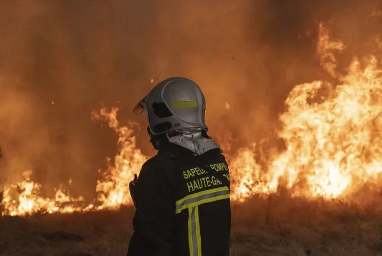 Incendies et politique