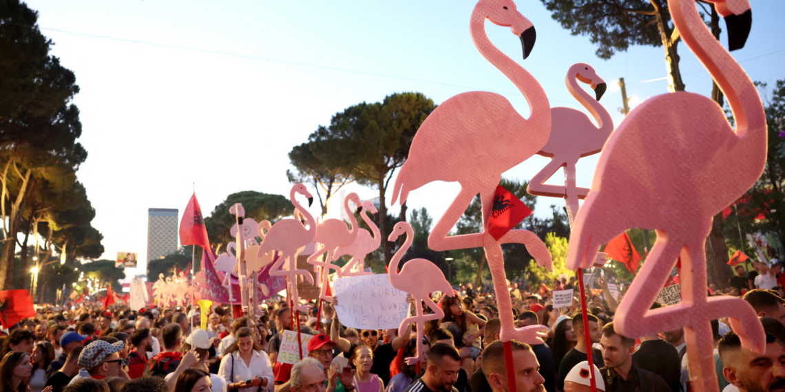 Albanie : les « flamants roses » contre les Trump