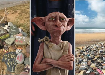 Pas touche à Dobby !