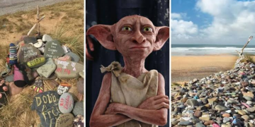 Pas touche à Dobby !